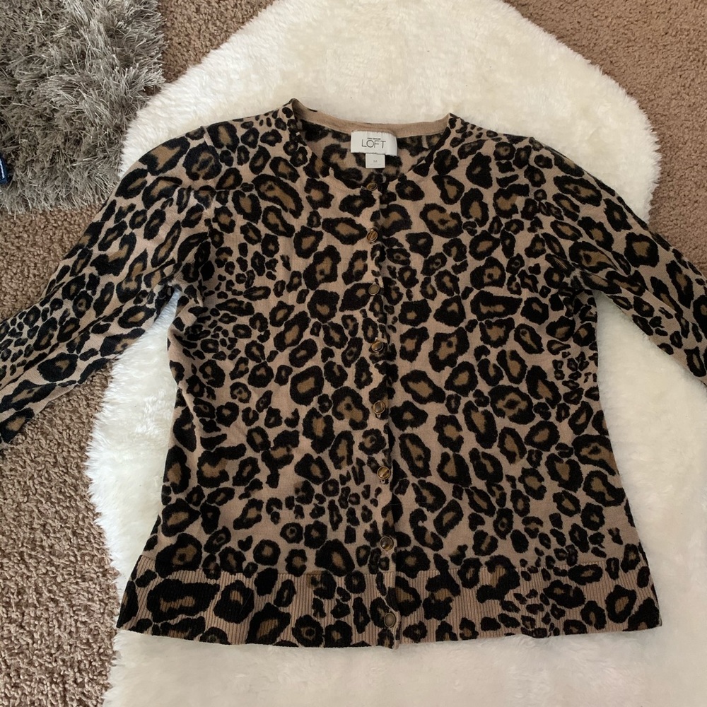 Cheetah print sweater